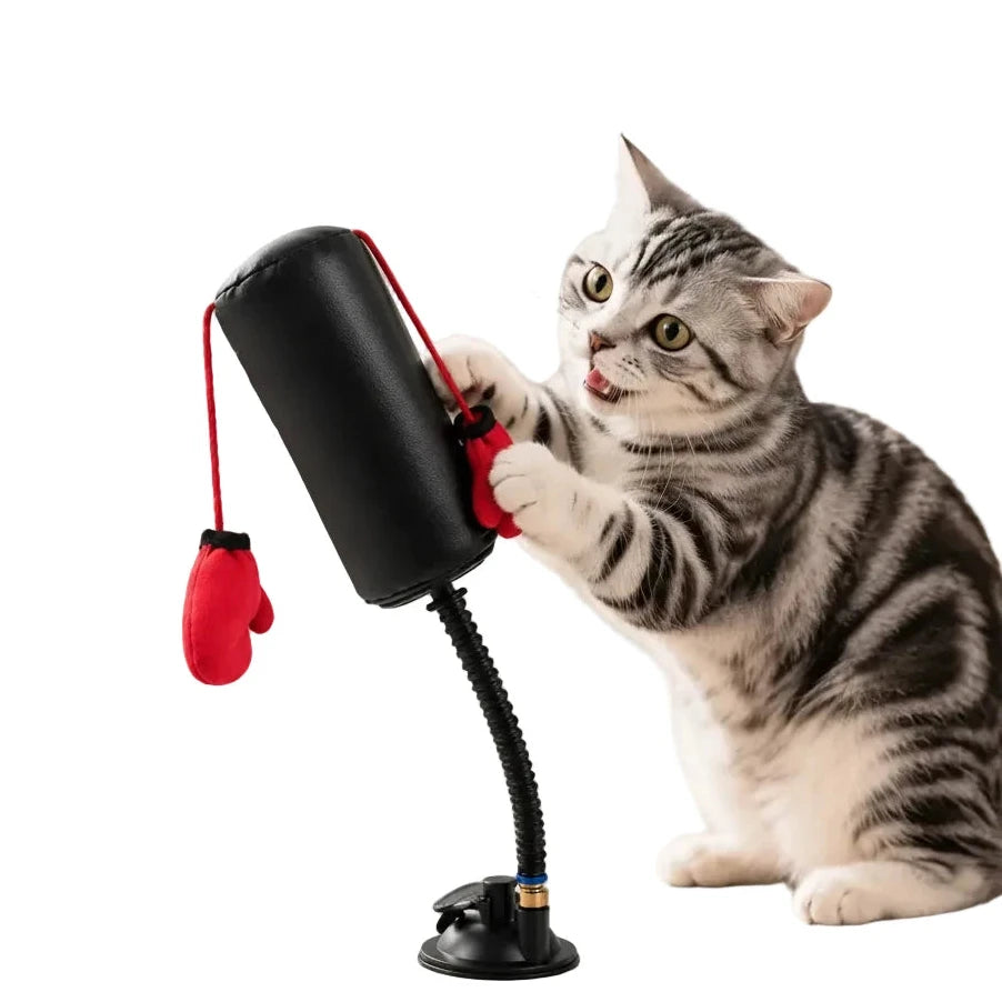 Interactive Boxing Toy for Cats
