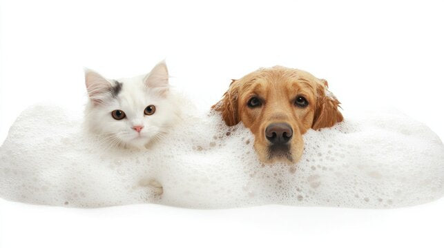Pet Health Care
