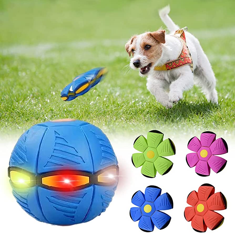 Foldable Soft Dog Frisbee – Pop-Up Fetch Toy