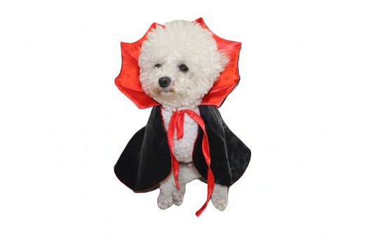 Dog 'Vampire Cloak' Halloween Costume