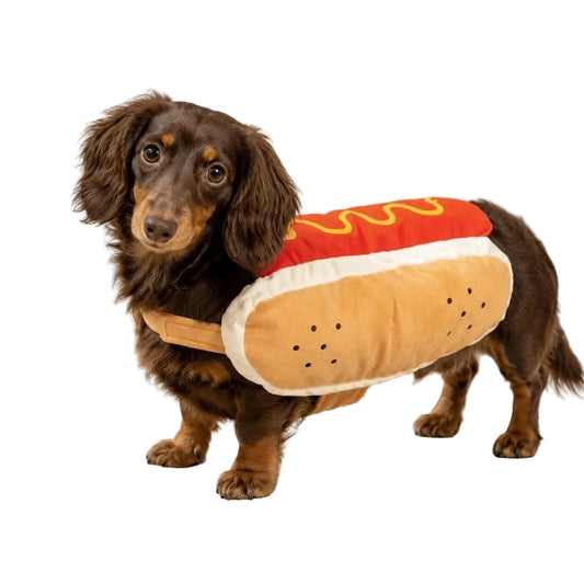 Dog 'Hot Dog' Halloween Costume