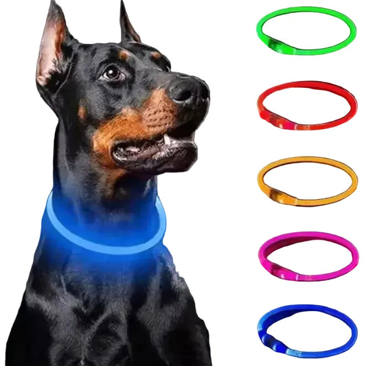 Dog LED Collar