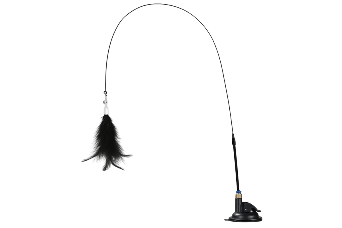 Cat Bell & Feather Wand Toy with a flexible black rod, dangling black feather, small bell, and weighted suction base