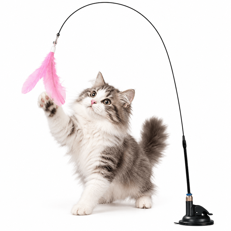 Cat Bell & Feather Wand Toy with a flexible black rod and bright pink feather, played with by a fluffy grey and white cat