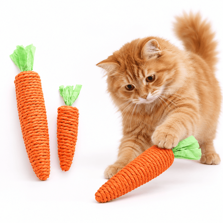 Cat Carrot Rope Scratcher Toy in bright orange twisted rope with green leafy tops, shown in three sizes as a kitten paws one