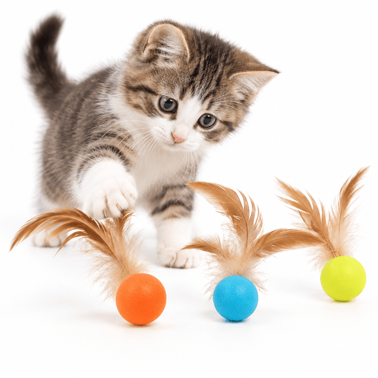 Cat Feathered Ball Toy with three bright orange, blue and yellow fuzzy balls topped by brown feathers beside a kitten