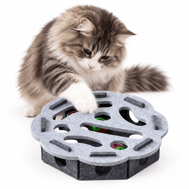 Cat Puzzle Box Toy in grey felt with a round maze of openings and red-green balls, pawed by a fluffy cat
