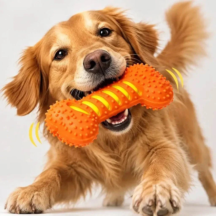 Dog Rubber Bone chew toy in bright orange rubber with raised bumps and yellow grip ridges, held in a dog's mouth