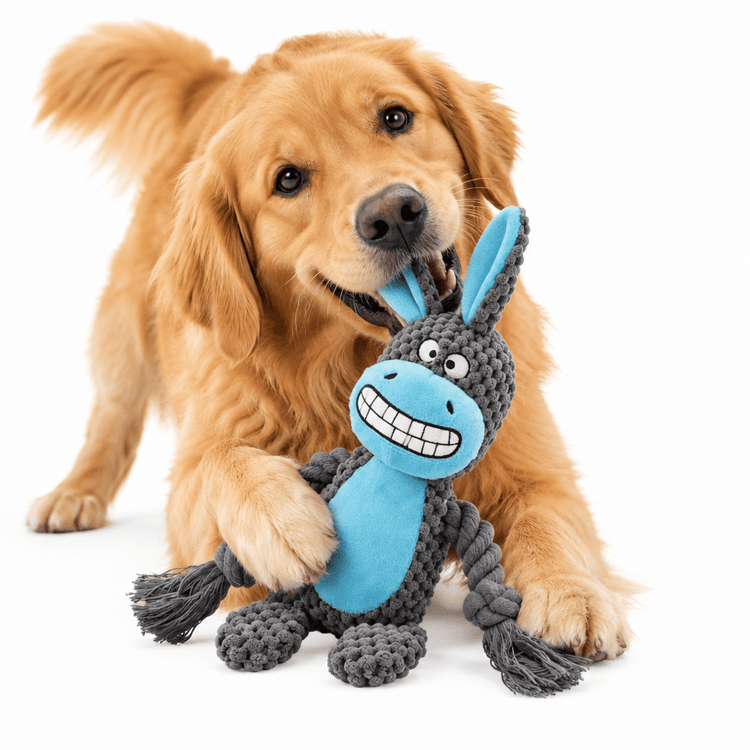 Donkey Plush Squeak Toy - Endless Fun for Your Pup, gray plush donkey with bright blue face, belly, and ears