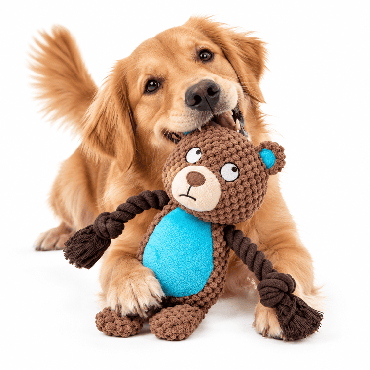 Plush Bear Squeak Toy with textured brown fur, bright blue belly, cartoon face and knotted rope arms