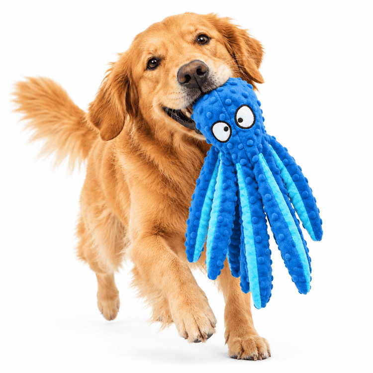 Plush Blue Octopus chew toy in bright blue textured fabric with cartoon eyes and long dangling tentacles