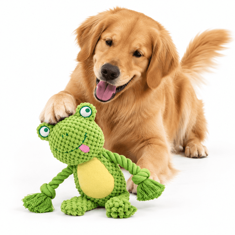 Plush Frog Squeak Toy in bright green textured fabric, with a yellow belly, bulging eyes, pink tongue and rope limbs