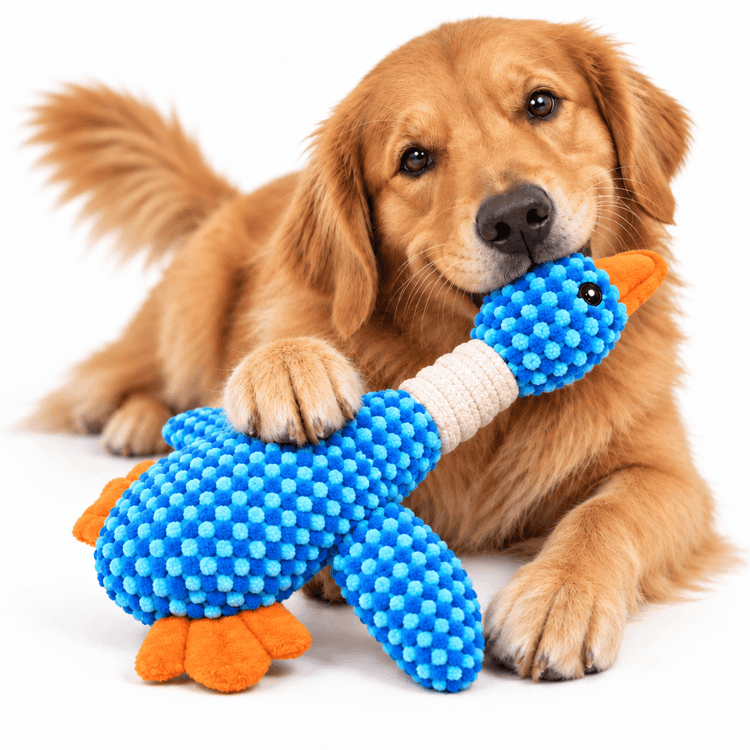 Plush Goose Chew Toy with bright blue textured fabric, white ribbed neck, and orange feet and beak, held by a dog.