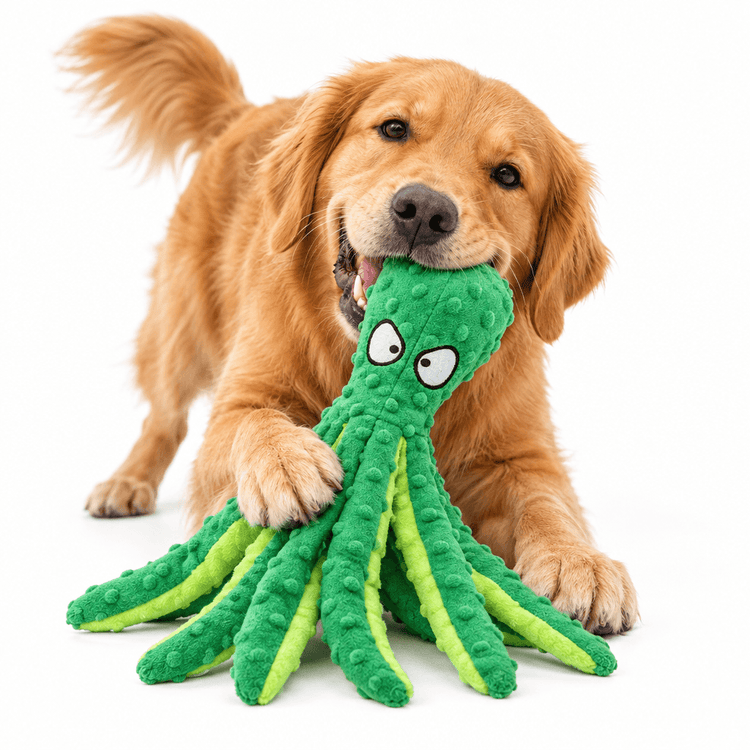Plush Green Octopus chew toy in bright green fabric with lime tentacle accents, raised dots and embroidered eyes.