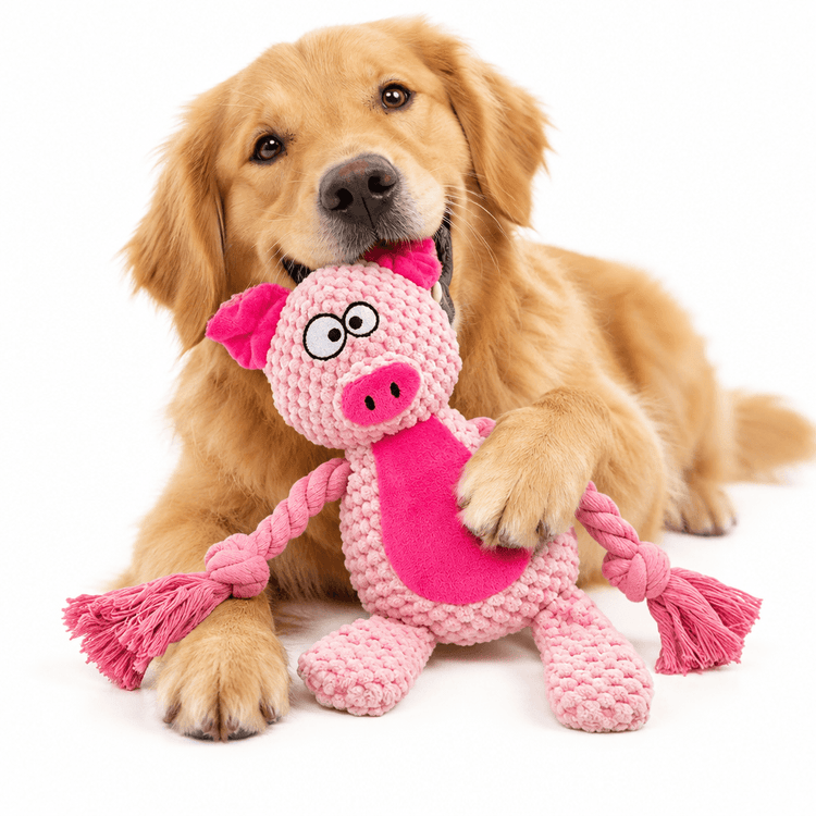 Plush Pig Squeak Toy in pink textured fabric with bright fuchsia accents, cartoon eyes, and knotted rope limbs