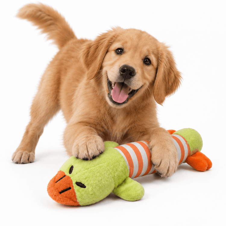 Plush Yellow Duck Chew Toy shown as a lime-green plush animal with orange details and striped fabric legs beneath a puppy