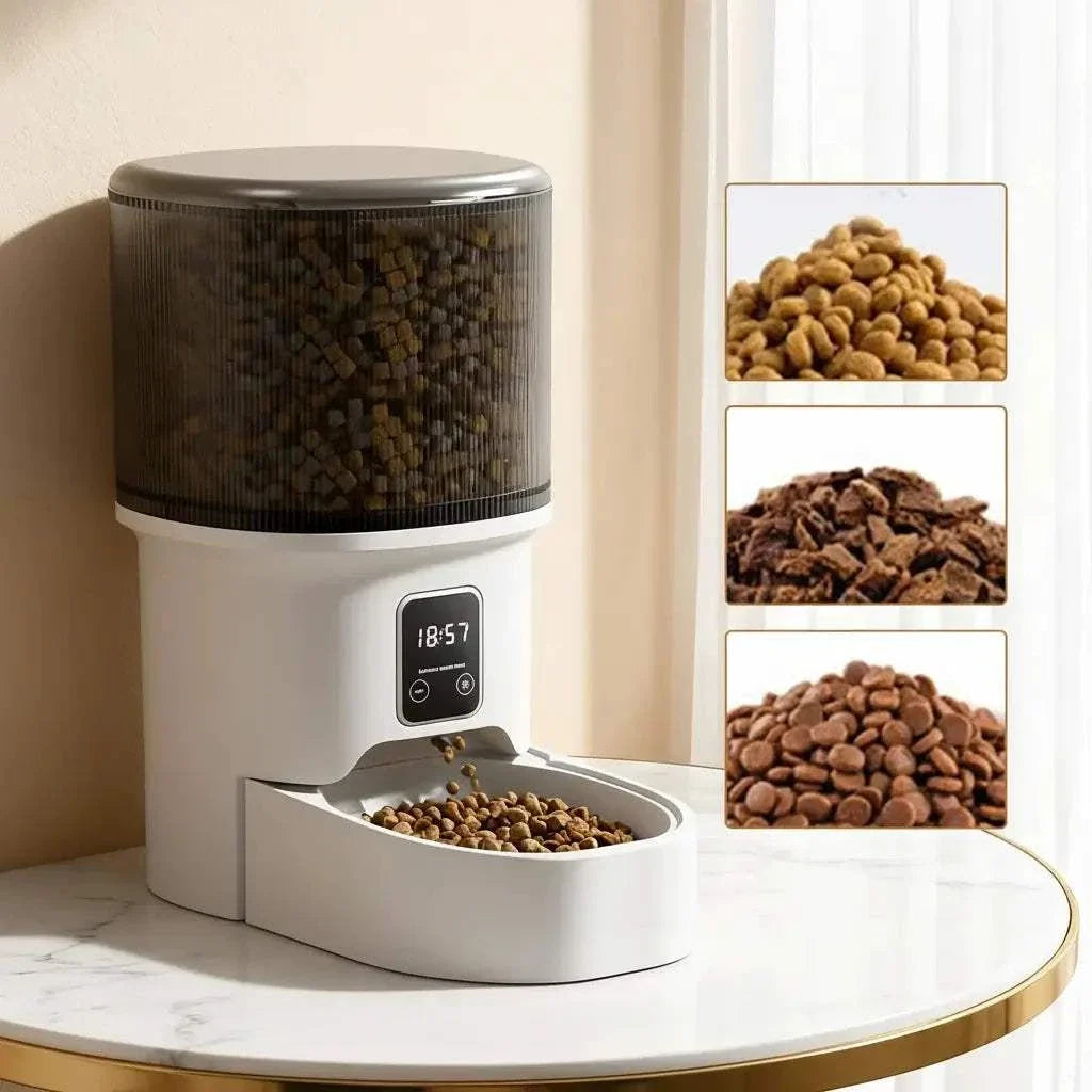 Programmable 4L Automatic Pet Feeder in white with a transparent kibble hopper, digital timer, and serving tray
