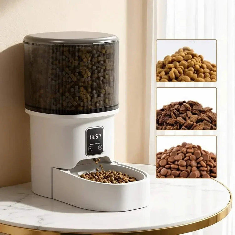 Programmable 4L Automatic Pet Feeder in white with a transparent kibble hopper, digital timer, and serving tray