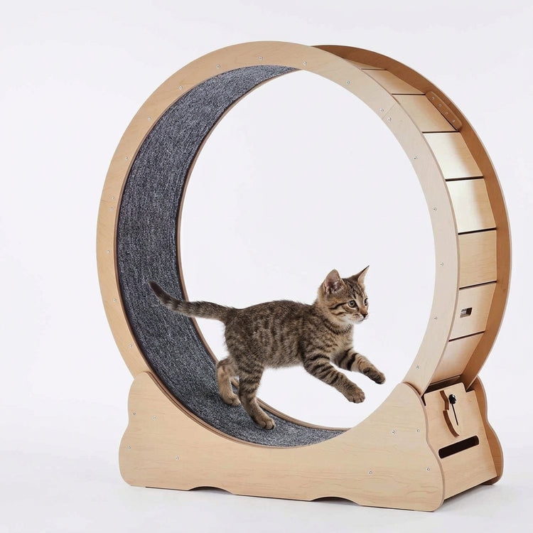 SucceBuy Wooden Cat Exercise Wheel in pale wood with charcoal running mat, tabby cat, teaser wand and assembly accessories